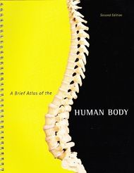 Human Anatomy & Physiology