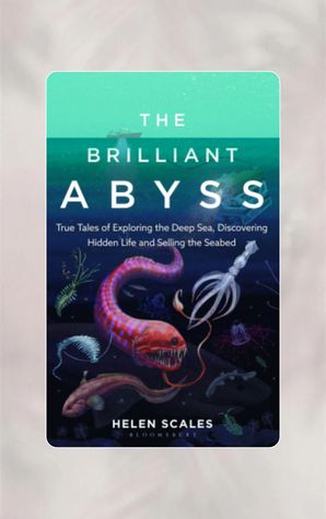 The Brilliant Abyss